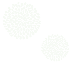 PageLines-burst2x_10_800.png