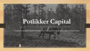 Potlikker-Capital-Logo